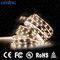 0.5W RGB Dijital Rgb Led Şerit, Suya Dayanıklı Esnek Işıklar DC12V SMD 5050 IP20 IP65