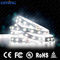 Dekoratif Yan Yayan LED Şerit Işıklar 2835 5050 Smd Ip65 Su Geçirmez 120 Led / M DC12V 24 V